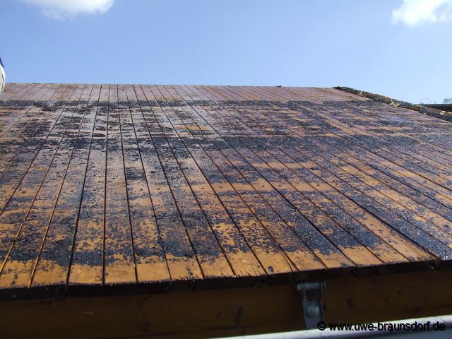 Erneuerung Dach 1.Garten
