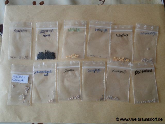 Unsere Samen für dieses Jahr (2012)
