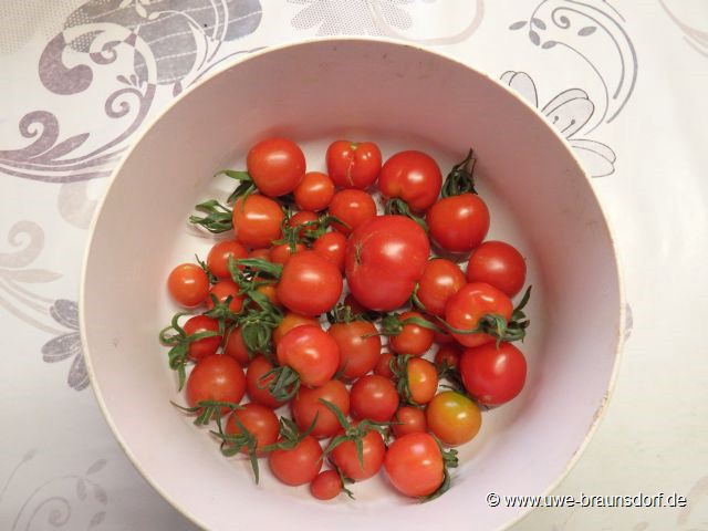 Tomaten aus dem Gewächshaus